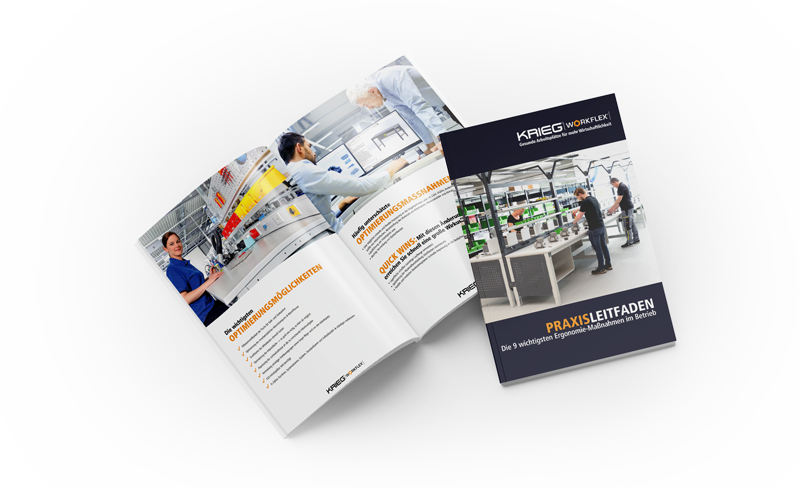 Whitepaper Ergonomie Krieg Transparent Whitepaper Ergonomie Krieg Transparent